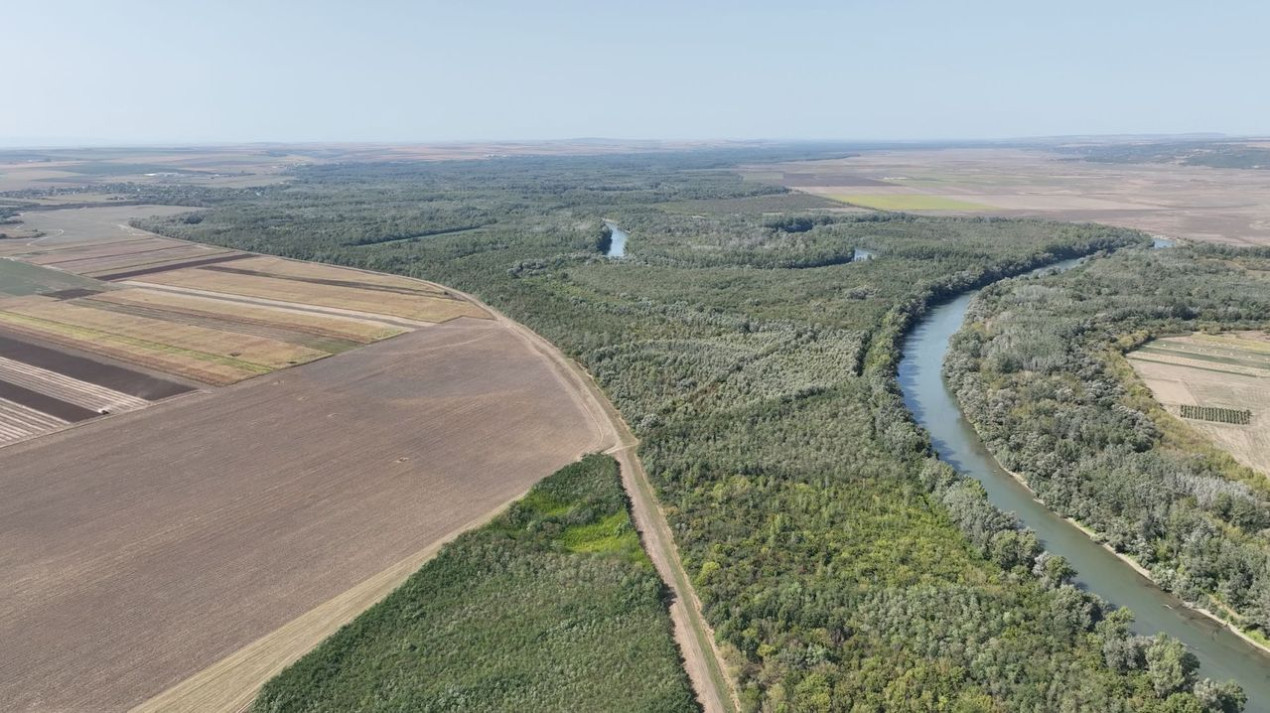 180 ha Padure de vanzare judetul Iasi