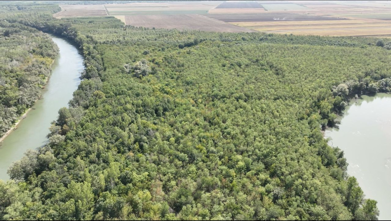 180 ha Padure de vanzare judetul Iasi